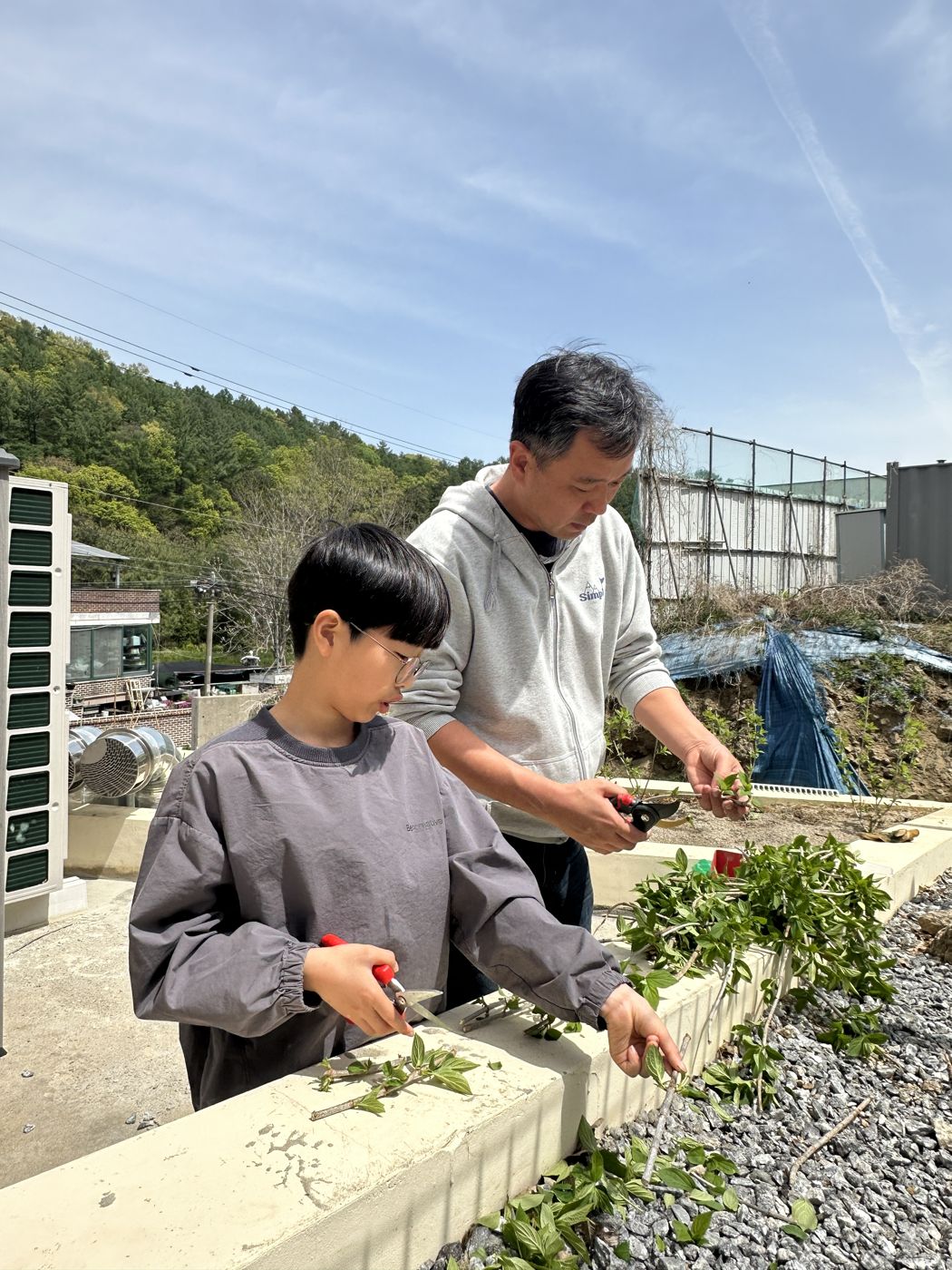 교사와 학생이 함께 화단의 식물을 가꾸는 모습